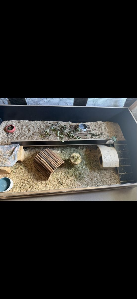 Cages, transport & sécurité: Nagerkäfig  – D'occasion à Hombrechtikon par rah_yp62 1