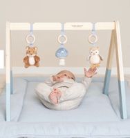 Spielbogen little dutch mit Anhängern neuwertig