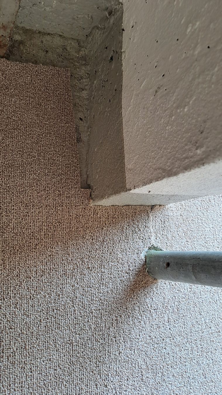 Tappeti: Teppichboden hellgrau ca. 20qm in gutem Zustand  – Usato da Bergdietikon venduto da ele_kwb9 5