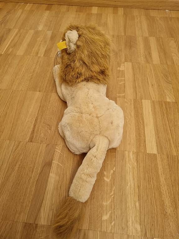 Steiff Giocattoli: Steiff Löwe Molly Leo – Usato da Arlesheim venduto da evi_gm8h 3