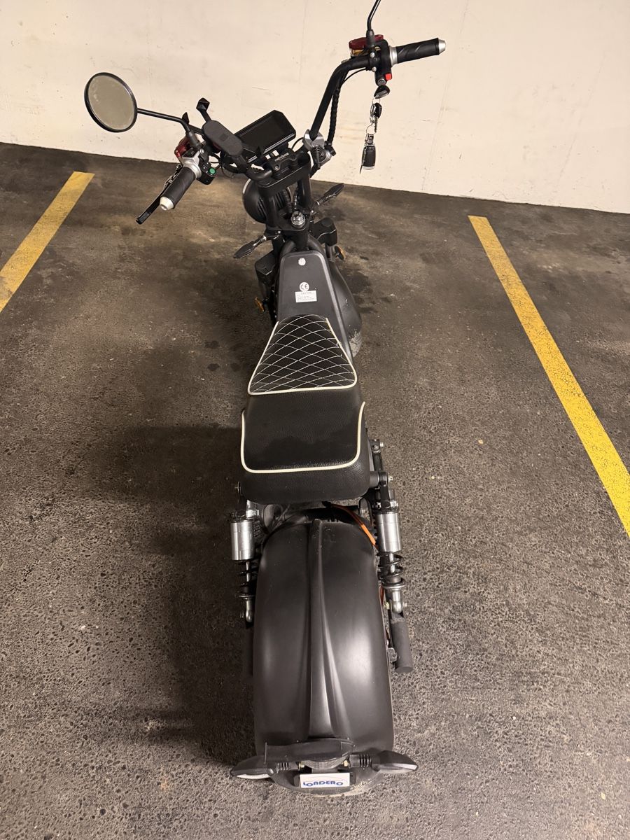 Veicoli elettrici: E-Roller (Citycoco) Fatboy 3.0 – Usato da Winterthur venduto da N-e-A 4