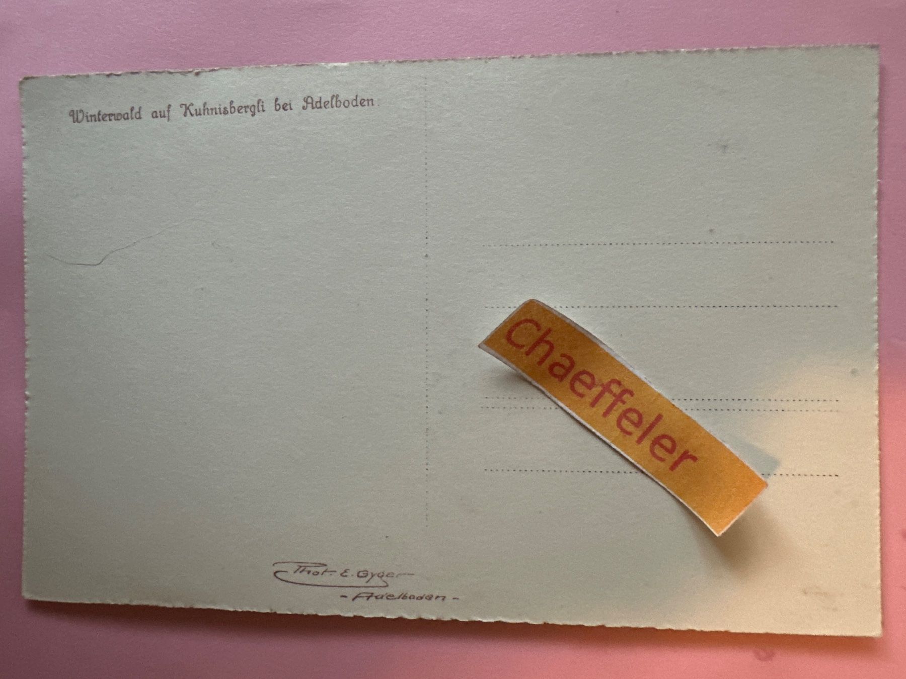 Cartoline postali: Winterwald auf Kunisbergli bei Adelboden. – Usato da Zürich venduto da Chaeffeler 1