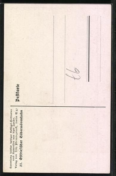 Ansichtskarten: sign. Kurt Zander: Ostfriesischer Silber – Gebraucht aus Berlin von bartko-reher 1