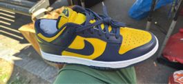 Nike dunk low Michigan 2021 DD1391-700