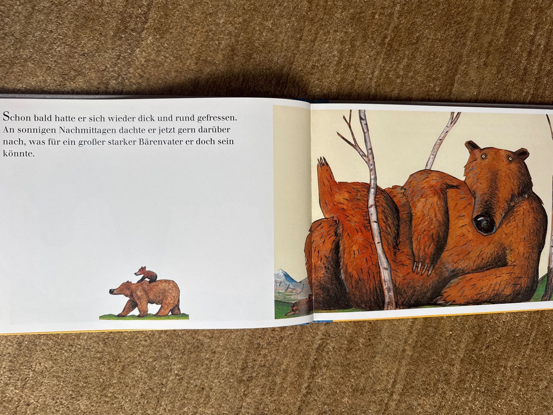 Bücher: Wolf Erlbruch - Das Bãrenwunder – Gebraucht aus Aarau von Kilauea 2