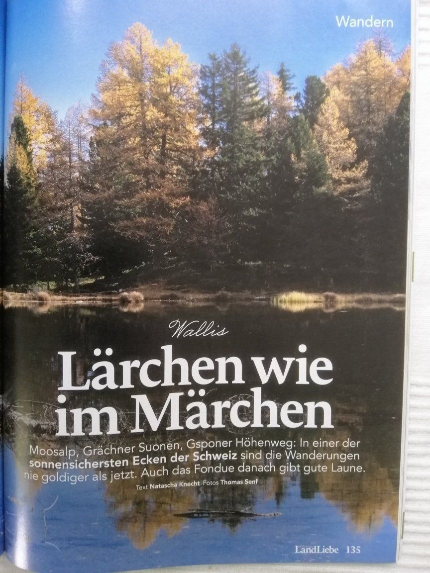 Revues & Magazines: Landliebe Herbst 2020 – D'occasion à Langenthal par Handstrick 5