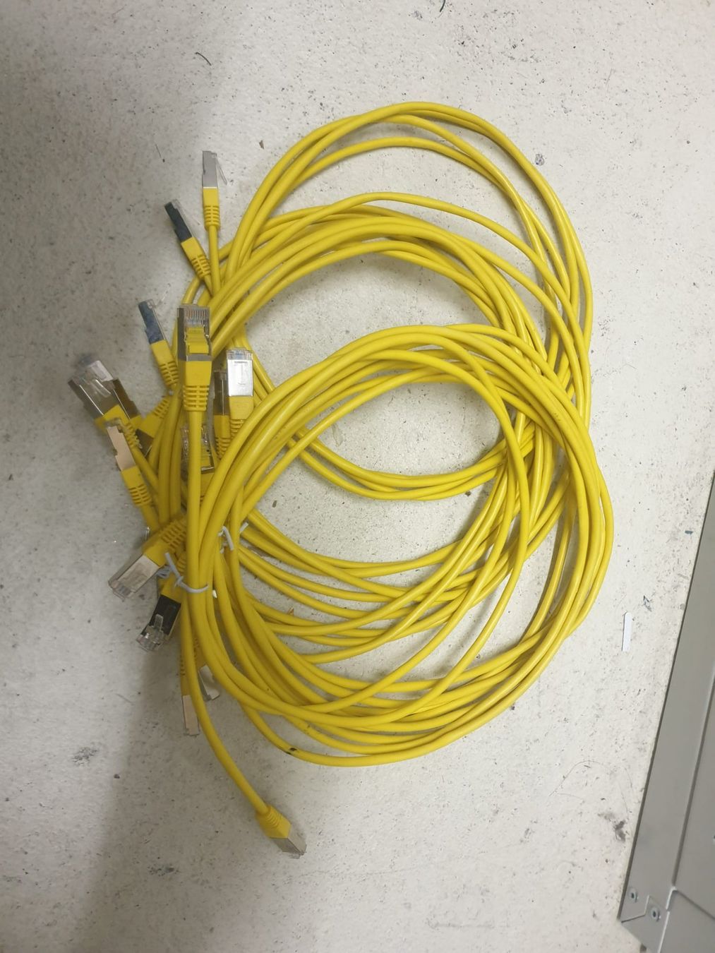 Cavi: Patchkabel RJ45 – Nuovo e nell'imballaggio originale da Cham venduto da NeraHandel
