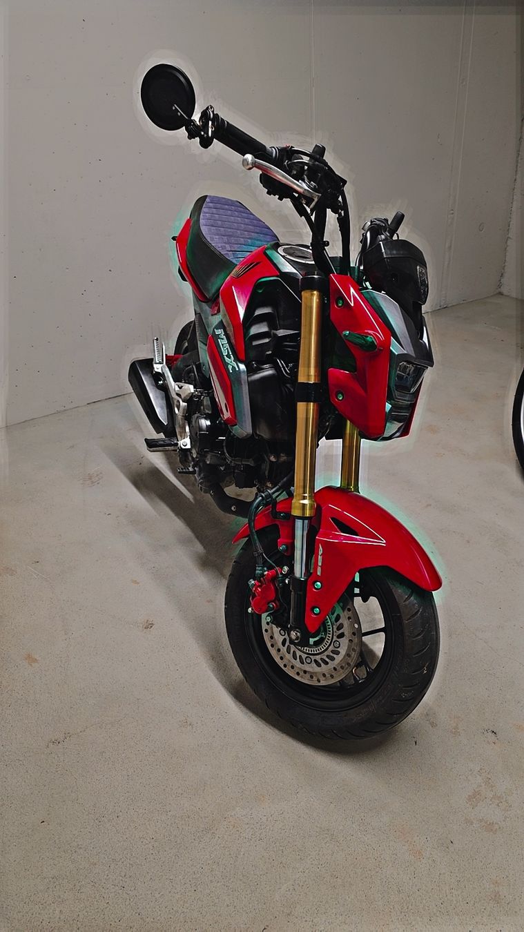 Honda Strada: Honda MSX 125A – Usato da Döttingen venduto da Capuella 4