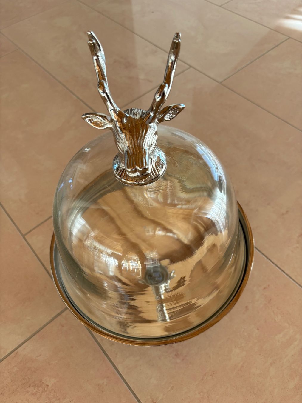Piatti di portata: Tortenplatte mit Glasdeckel – Nuovo (secondo la descrizione) da Wohlenschwil venduto da F.F.