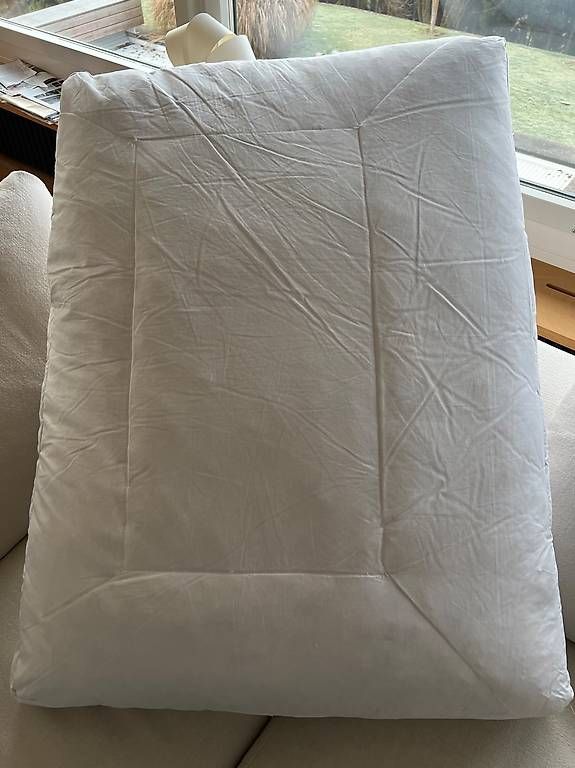 Divani: Flexform Groundpiece Sofasitzkissen aus reinen Daunen! – Usato da Bachenbülach venduto da shouter57 1