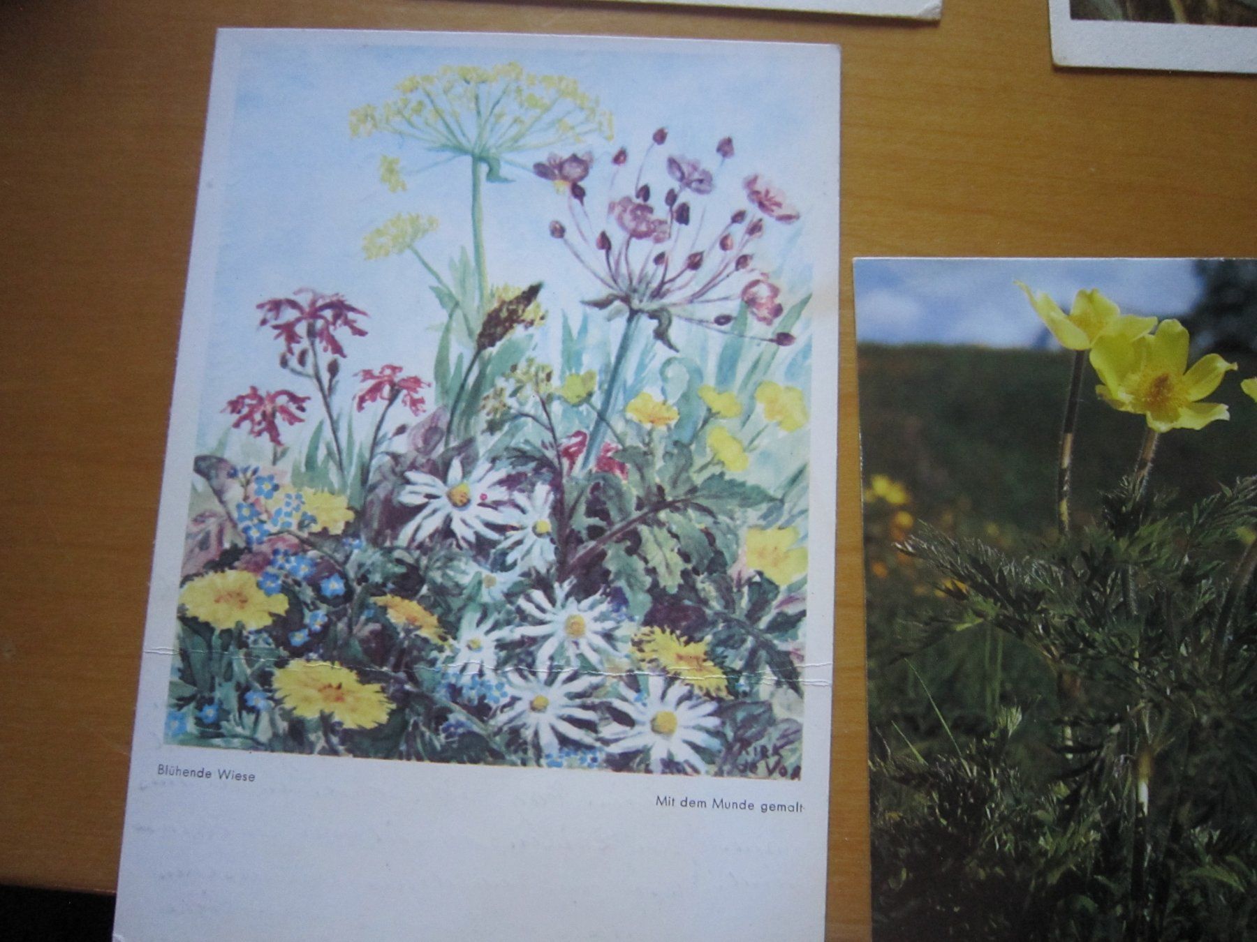 Ansichtskarten: No2 Postkarten Blumen – Gebraucht aus Gordola von Polentaefung 8