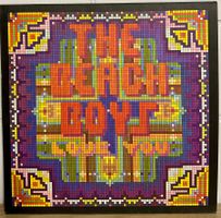 Beach Boys - Love You // LP: VG+; Sleeve: VG++