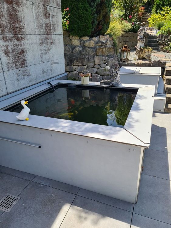 Fischteich Kaufen auf Ricardo