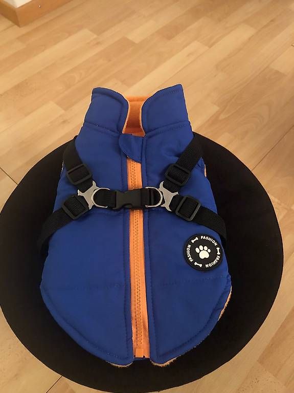 Abbigliamento: Hundemantel – Usato da Spreitenbach venduto da V.Tasev