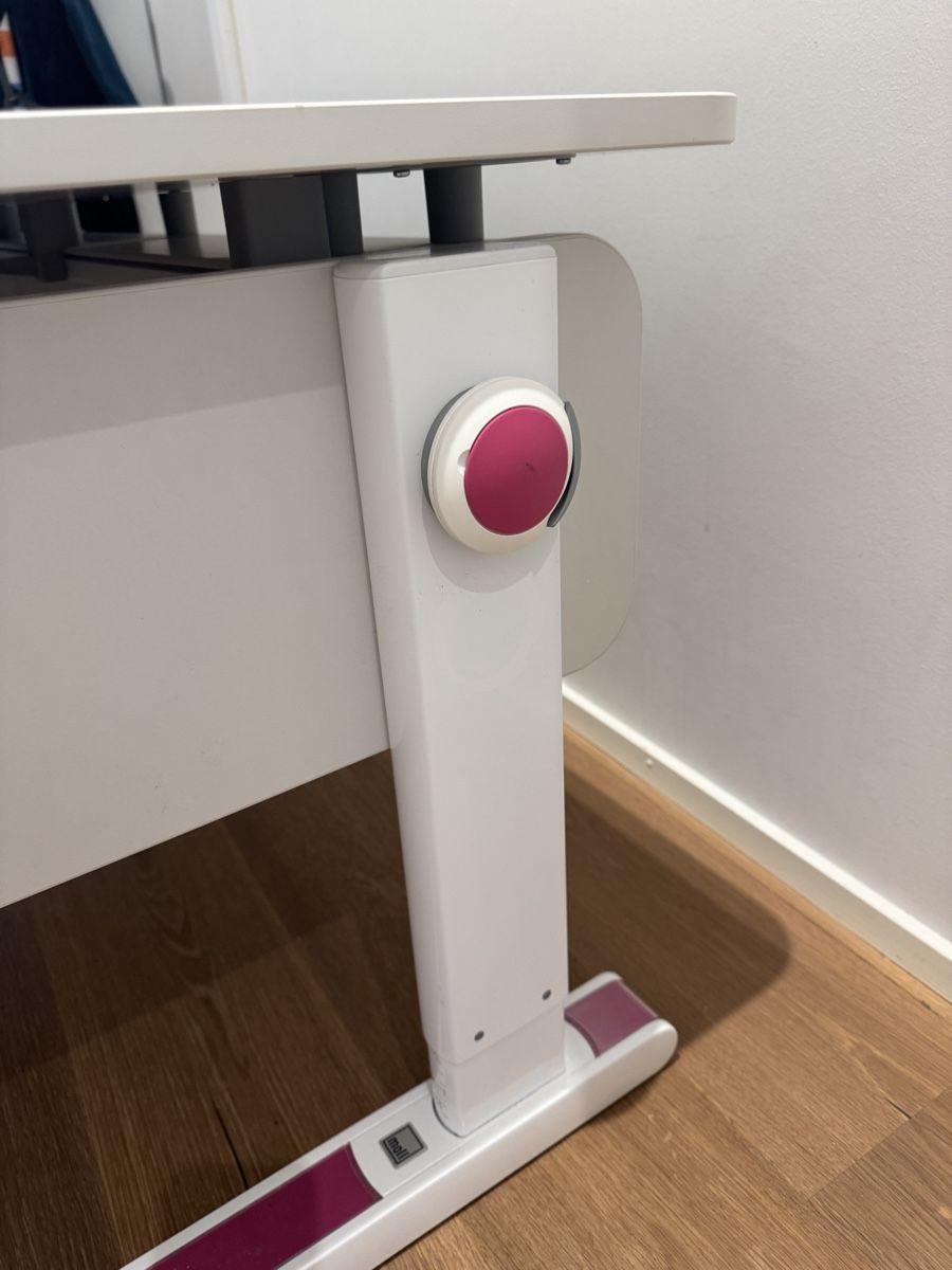 Bureaux: Schreibtisch Moll Champion – D'occasion à Baar par Tasha04 5