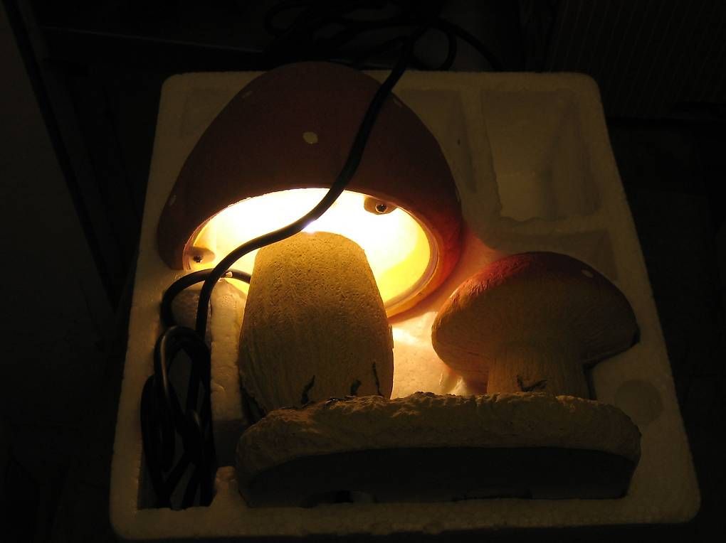 Lampes: FLIEGENPILZ GARTENLAMPE – D'occasion à Weissbad par Usw63 3