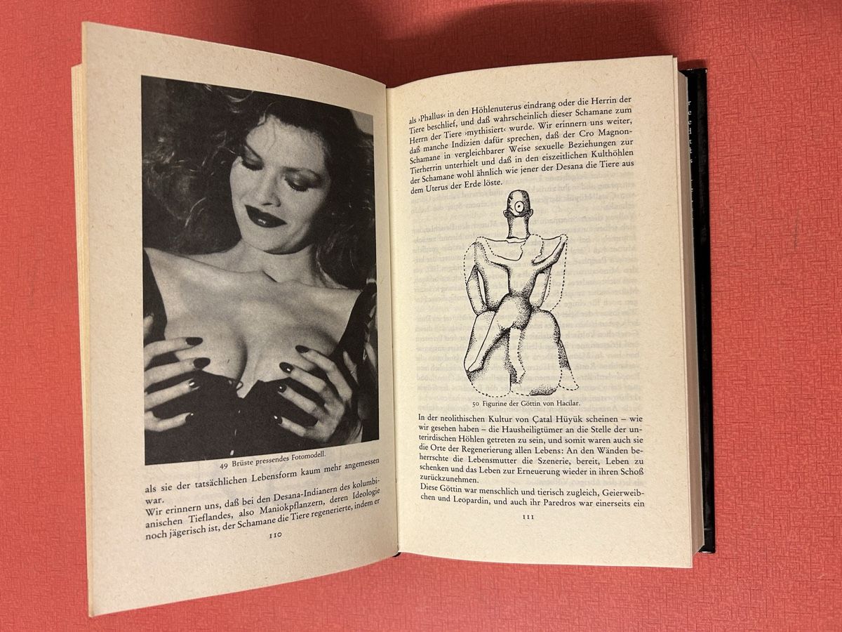 Libri: Hans Peter Dürr - Sedna: Seltenes Buch. – Usato da Lanzenhäusern venduto da vic63 1