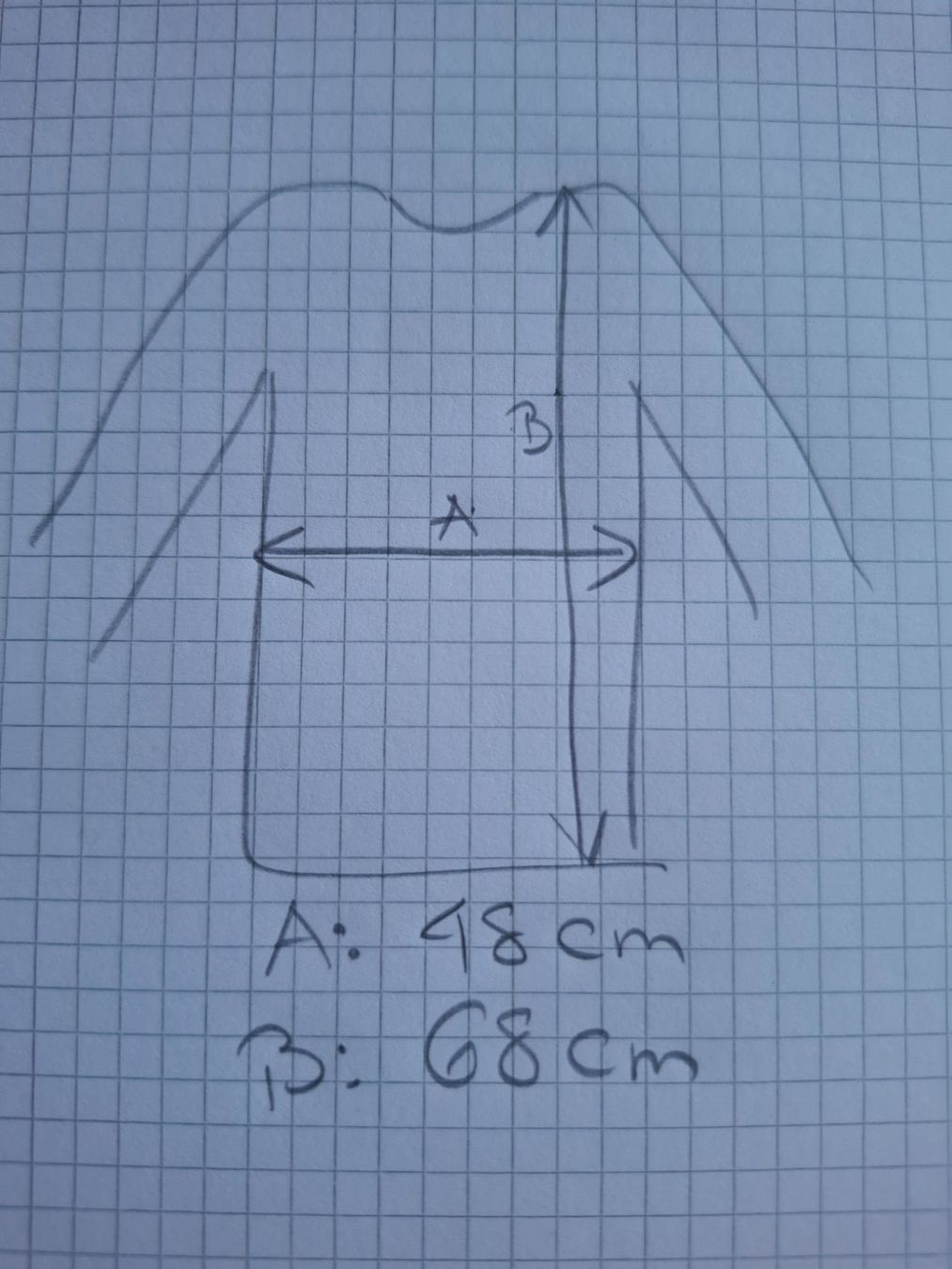 Pulls & Sweat-shirts: Kaputzenpulli von Edelvetica – D'occasion à Gals par rom_5crv 3