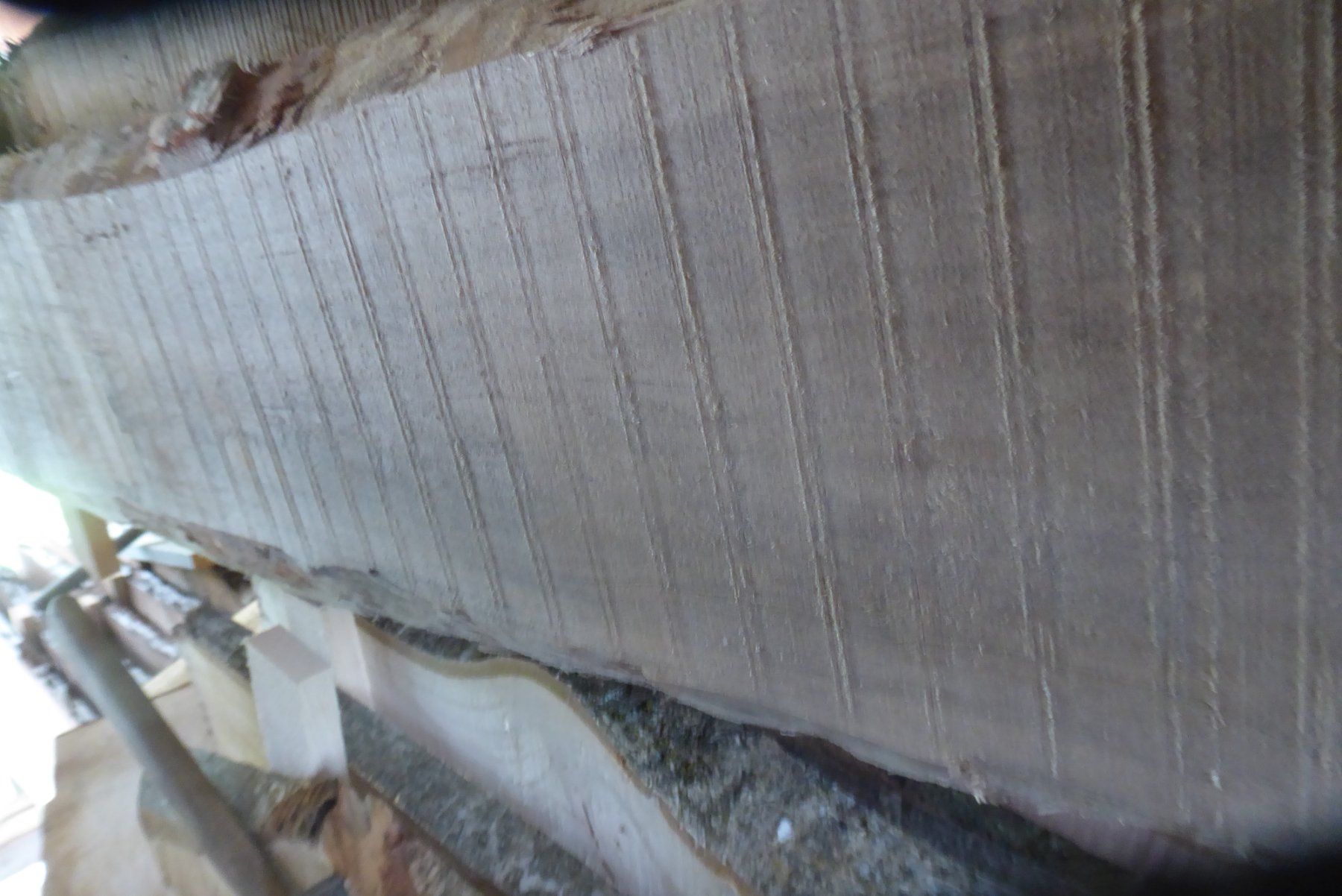 Articoli in legno: Birkenbrett 24 mm – Nuovo (secondo la descrizione) da Sumiswald venduto da Hennri1 1