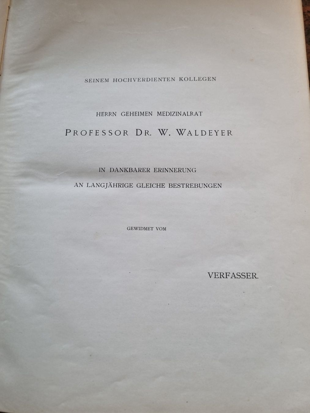 Libri: Die Gestalt des Menschen 1905 – Usato da Trachslau venduto da post35 2