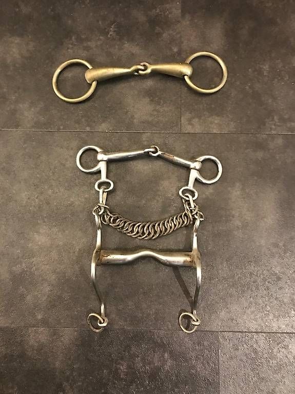Specchi: Miroir, Collier pour cheval – Usato da Neuchâtel venduto da gremsetfun 3