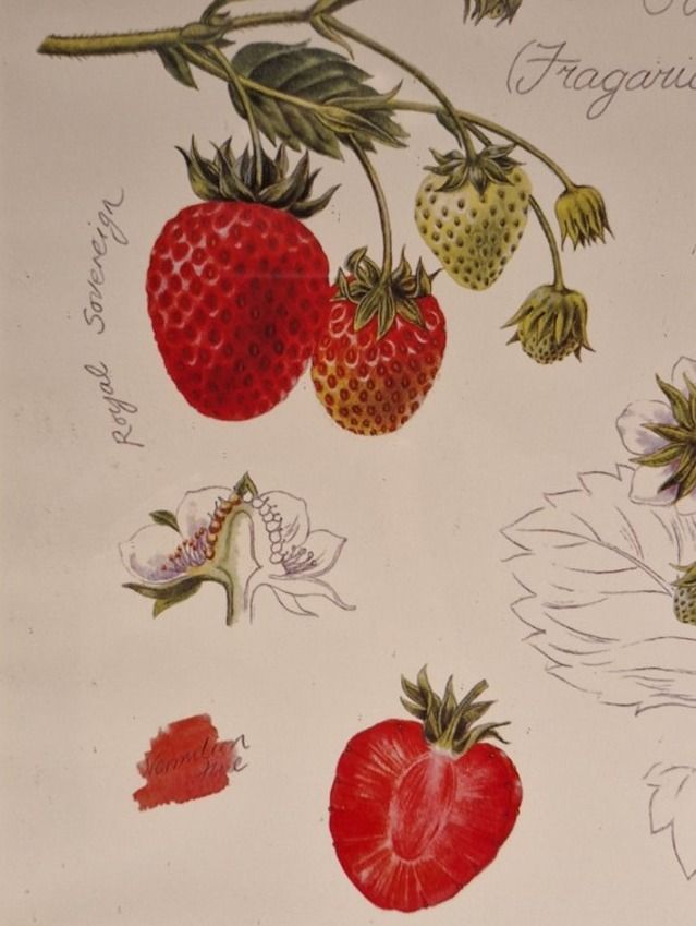 Posters & Illustrations: 2 Handgemalte Bilder mit Holzrahmen – D'occasion à Buus par Borki07 8