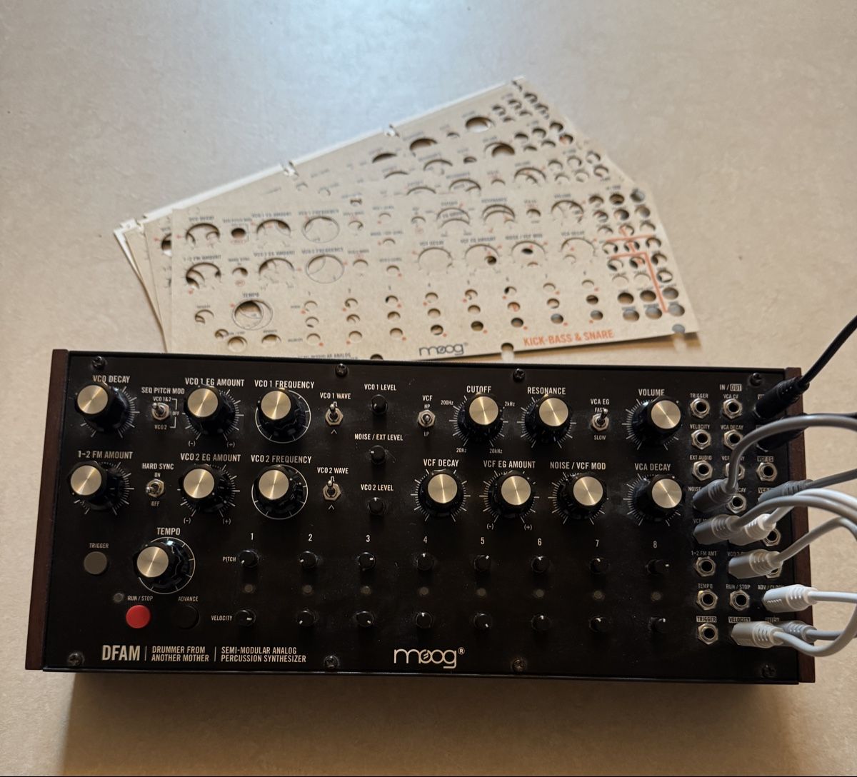 Moog Musikinstrumente: Moog DFAM – Gebraucht aus Zürich von remierancid 1
