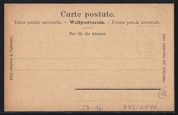 Cartoline postali: Basel, Zoologischer Garten, Kamele, Löw – Usato da Berlin venduto da bartko-reher 1