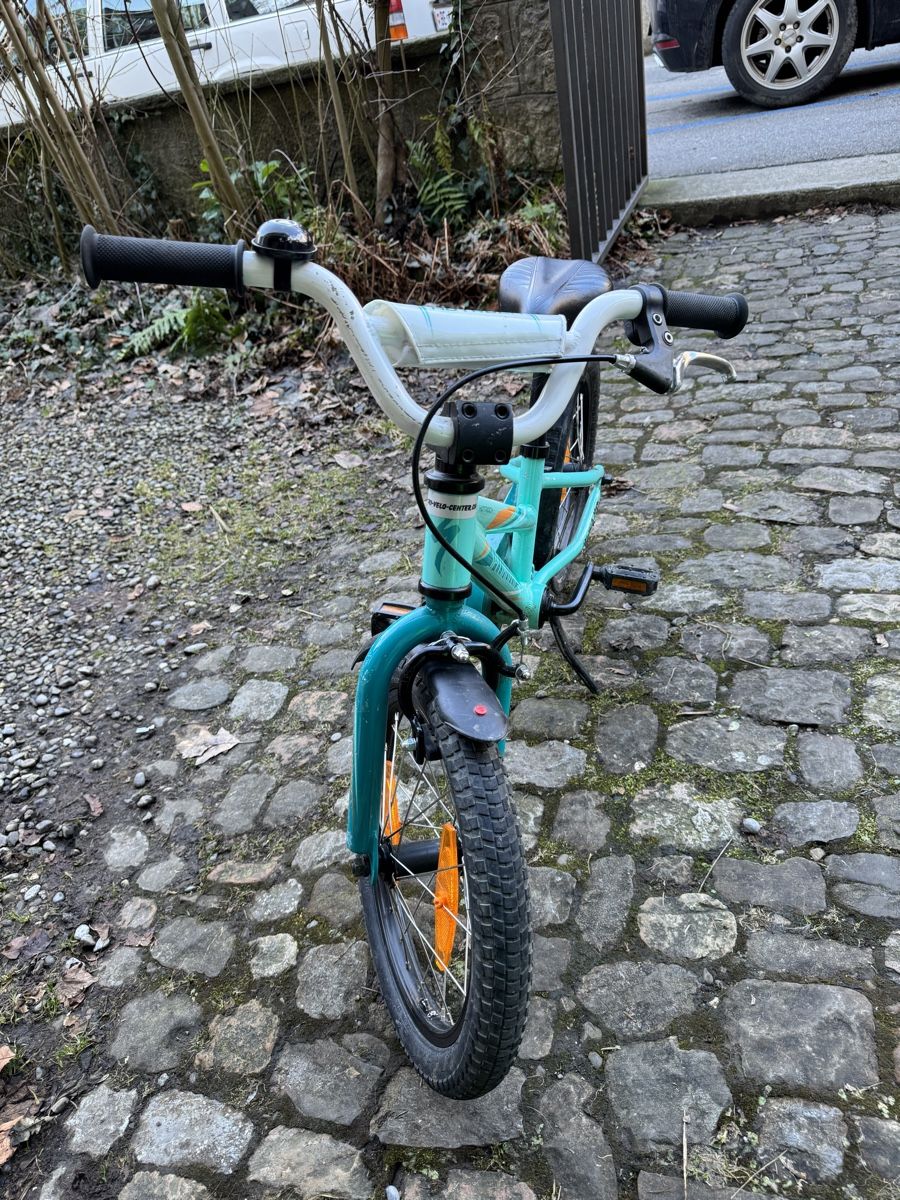 Biciclette: Kindervelo Specialized 16 Zoll – Usato da Bern venduto da  1