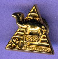 CAMEL   1993