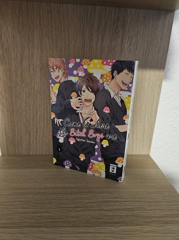Fumetti: Come to Where the Bitch Boys Are – Usato da Steinen venduto da Manjix