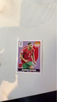 Carte Panini Achraf Hakimi Extra Sticker