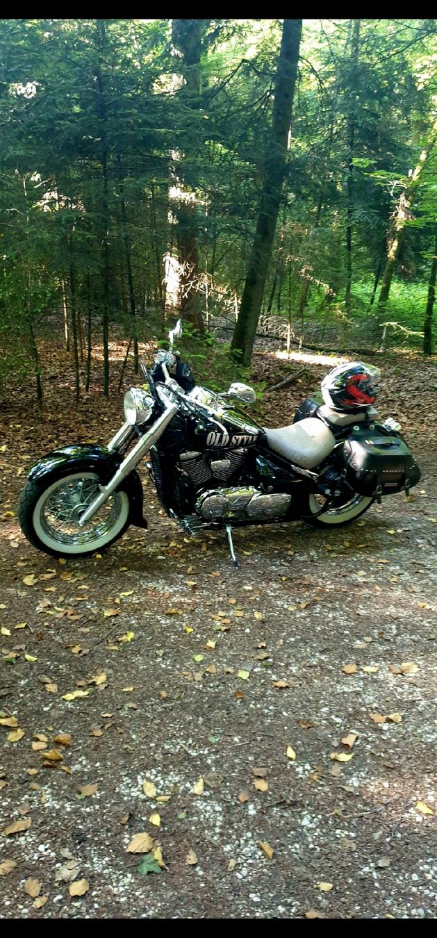 Suzuki Chopper: Suzuki VL800 INTRUDER – Usato da EGERKINGEN venduto da Eren3 1