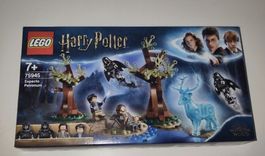 LEGO Harry Potter 75945 Expecto Patronum 