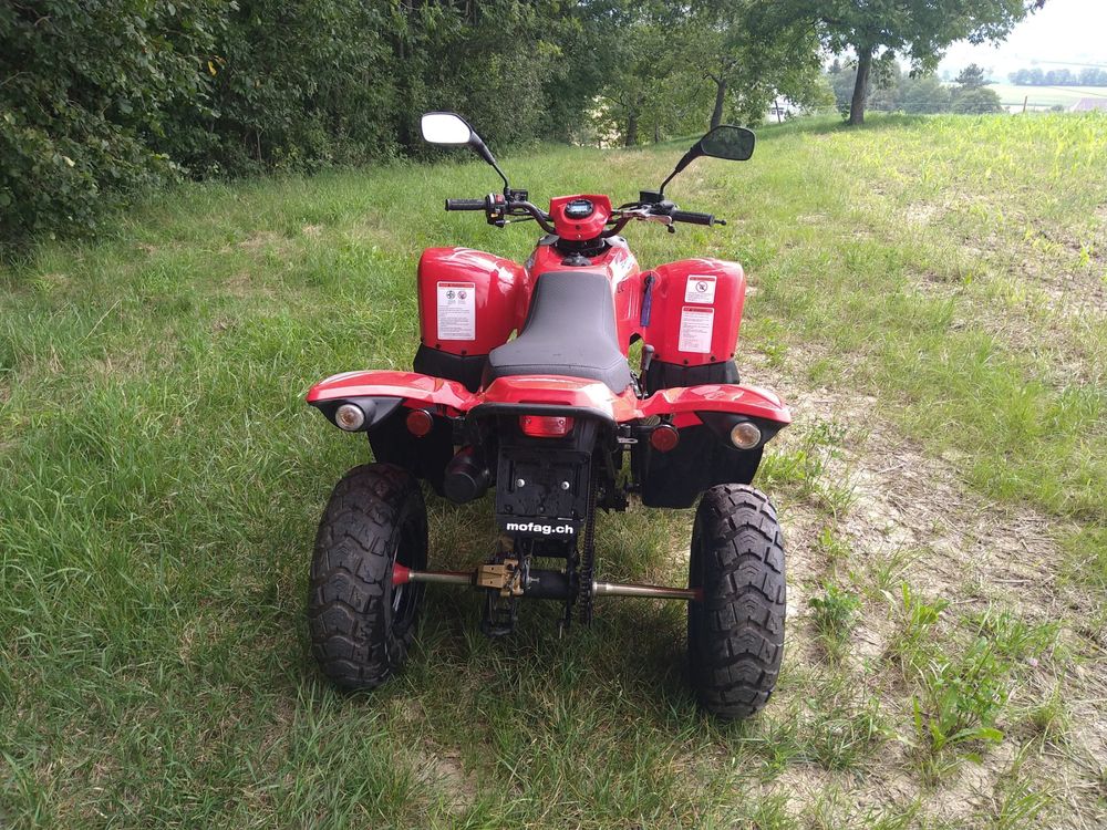 Adly ATV50R Quad Kaufen auf Ricardo