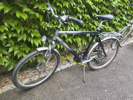 Due bici Tour di Swiss EcoLiner