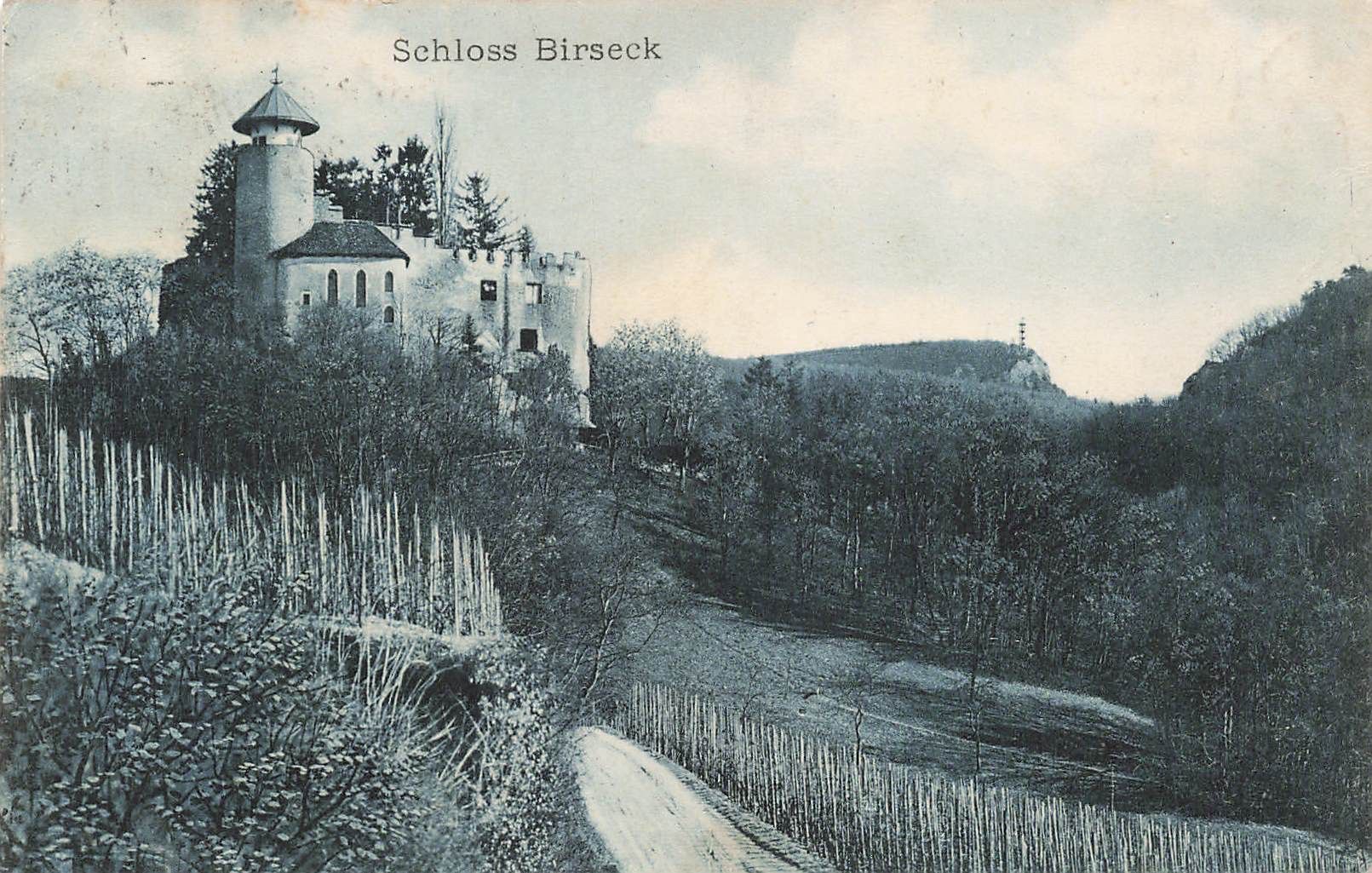 Cartoline postali: Schloss birseck Arlesheim – Usato da Biasca venduto da Blenio71