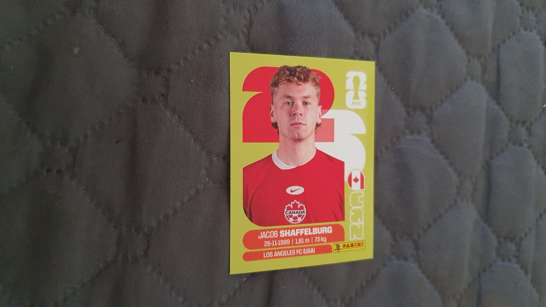 Panini Carte collezionabili: Panini WM 2026 - CAN 14 – Usato da Beromünster venduto da boeggy