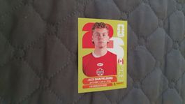 Panini WM 2026 - CAN 14