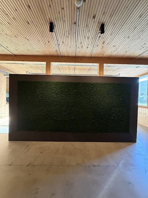Tutte le decorazioni: Grosse Echtmooswand mit dunklem Rahmen  3,5 × 1,5 Meter – Usato da Wallisellen venduto da 202_9n2x