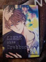 Liebe ohne Drehbuch (Umire Konatsu) Manga - Top Zustand!