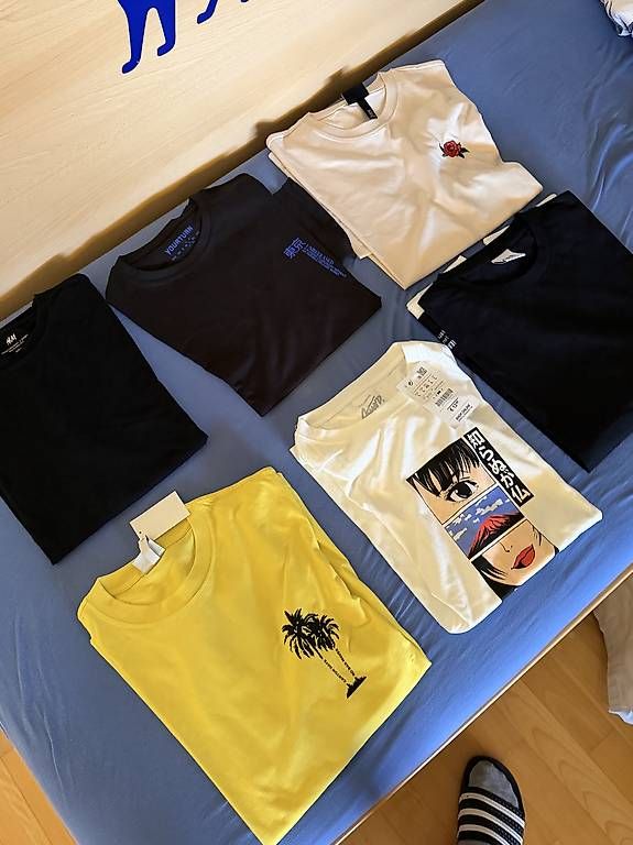 T-Shirts: 6 tshirts L size – Gebraucht aus Ascona von GioeleS