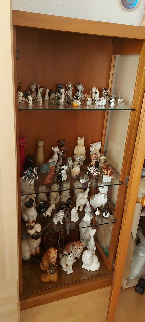 Vitrinen: Vitrine! – Gebraucht aus Rehetobel von Suejoe 5