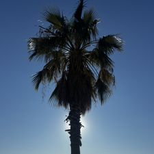 Profile image of fooyiy
