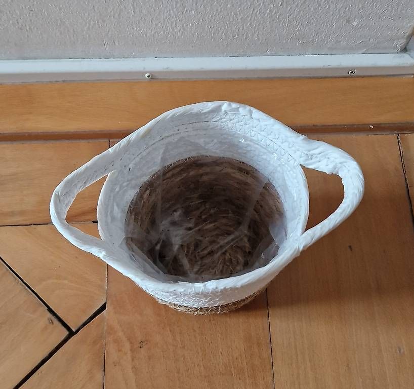 Blumentöpfe: 1x Blumentopf aus Bast/Plastik – Gebraucht aus Zürich von flavoured 2