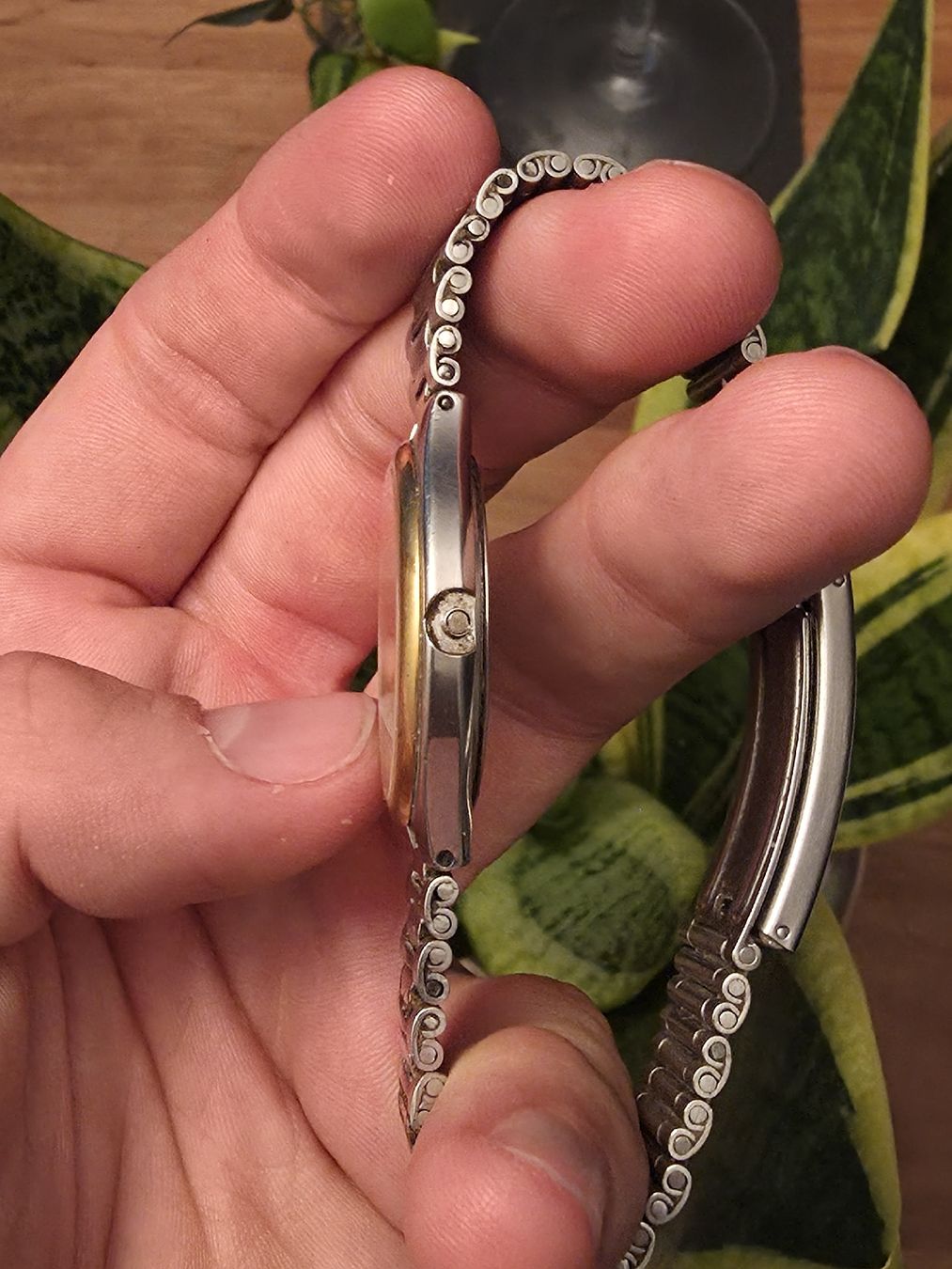 Certina Orologi: Certina DS – Difettoso da Frick venduto da drei-fricktaler 2