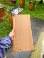Harasse gefüllt mit Schiedbretter