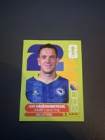 BIH 8 Panini WM 2026