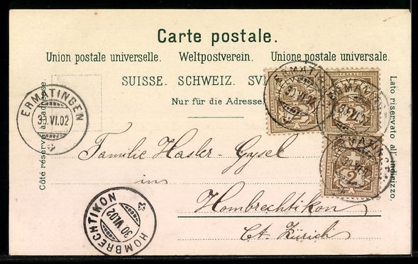 Cartoline postali: AK Ermatingen, Hotel zum Adler, Seeblick – Usato da Berlin venduto da bartko-reher 1