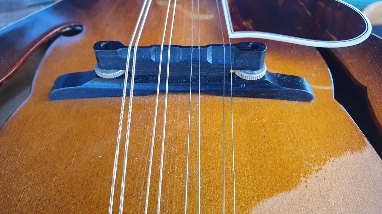 Washburn Strumenti musicali: Mandoline Washburn M-4S Jethro Burns – Usato da Biembach venduto da Musiksalander 9